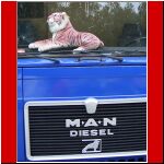 CIMG0475.jpg