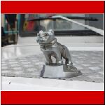 CIMG0477.jpg